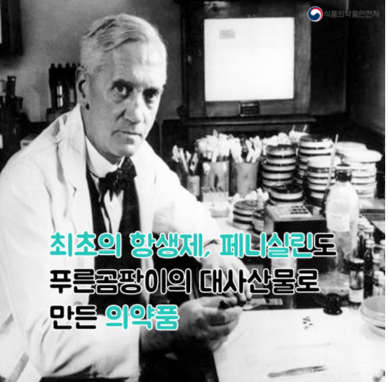 푸른곰팡이 이미지