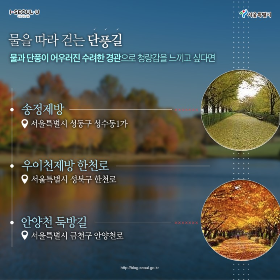 테마빌딩 이미지