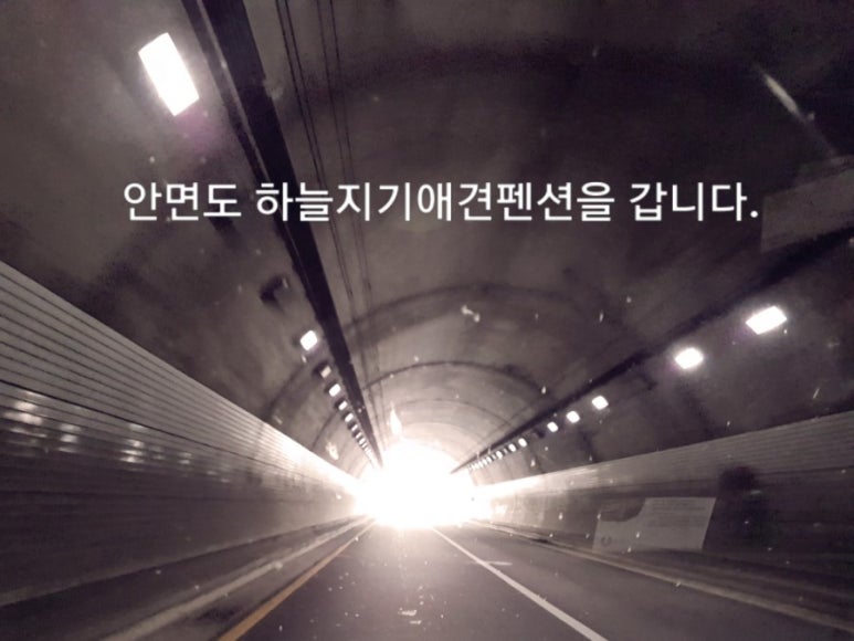 주식회사 여행천국 이미지