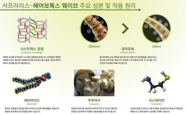 보톡스헤어 이미지