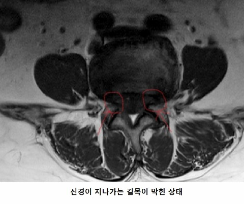 금병원 이미지