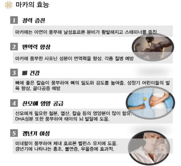 웰빙비타민 이미지