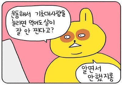 대우닭 이미지