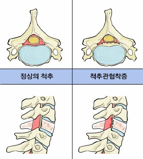 금병원 이미지