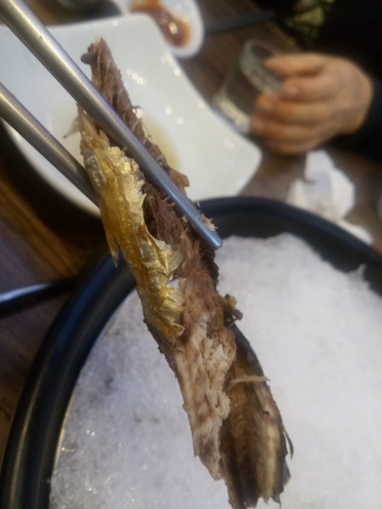 그물에걸린바다풍경 이미지