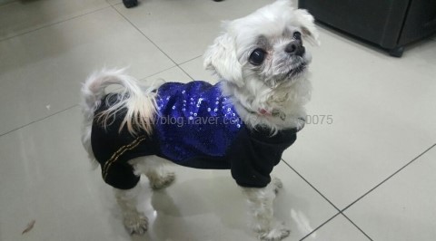 세븐일레븐 하남천현점 이미지