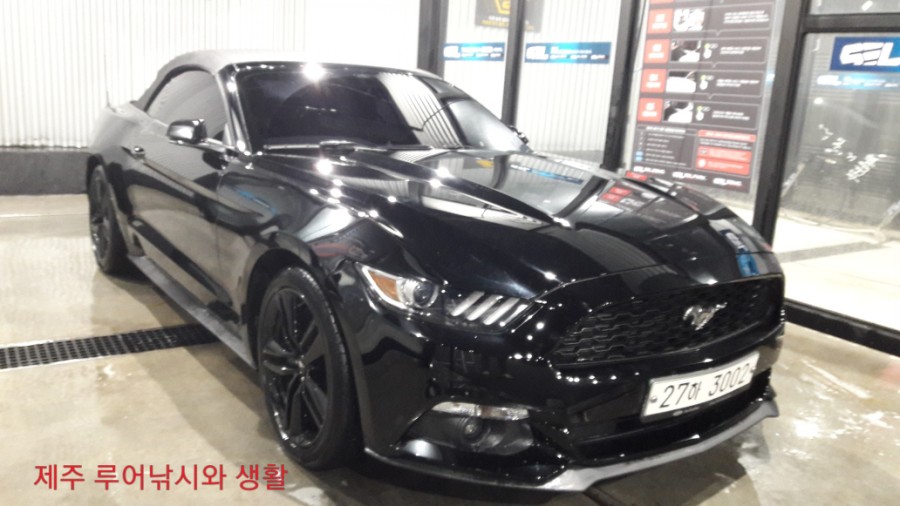 오라셀세모 이미지