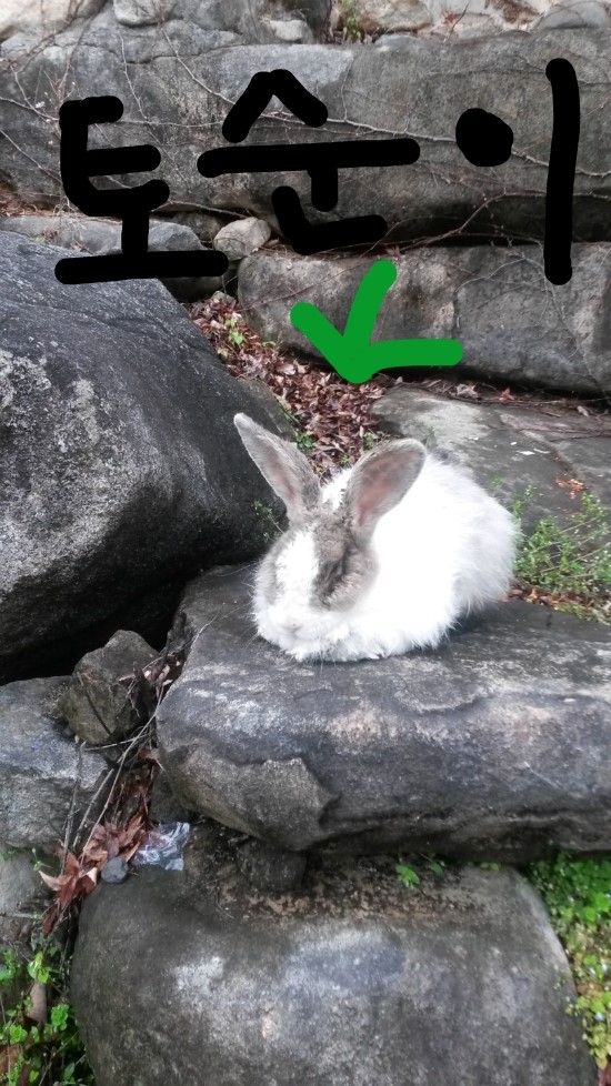 합천호청소년수련원 이미지