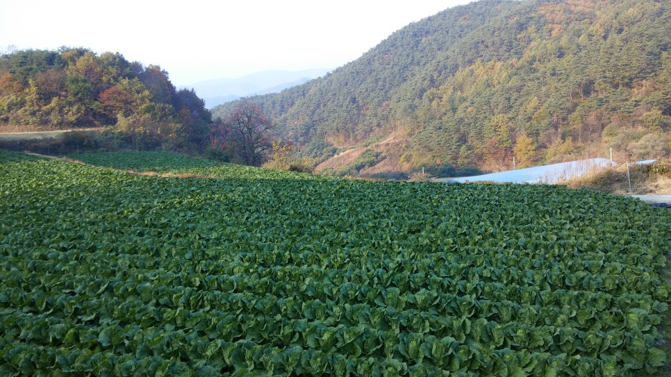 만석지기농장 이미지