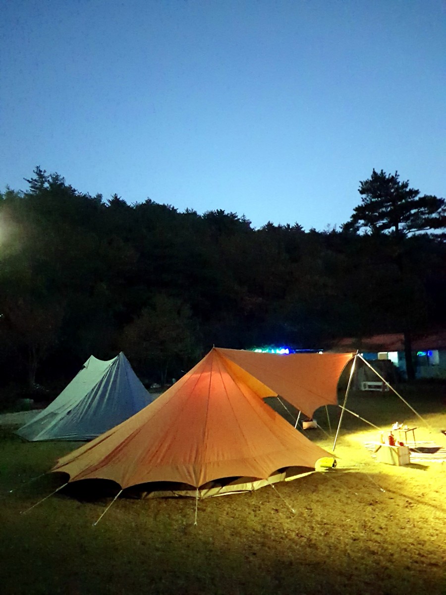 꽃내라팜 이미지