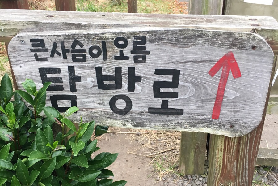 일오삼가든 이미지