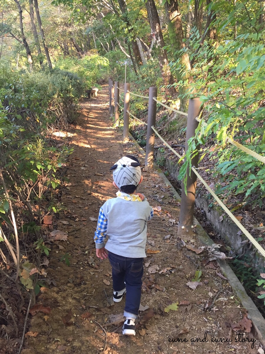 청사초롱 유아숲체험원 이미지