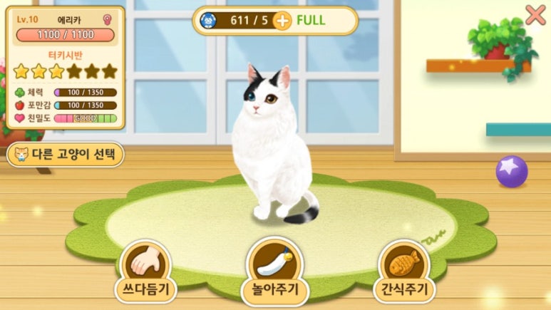 고양이다방 이미지