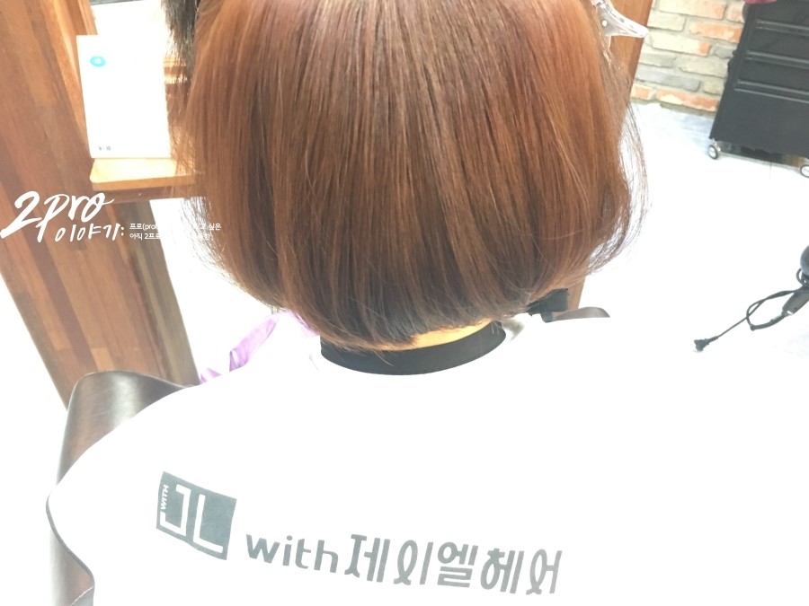 위드제이엘 이미지