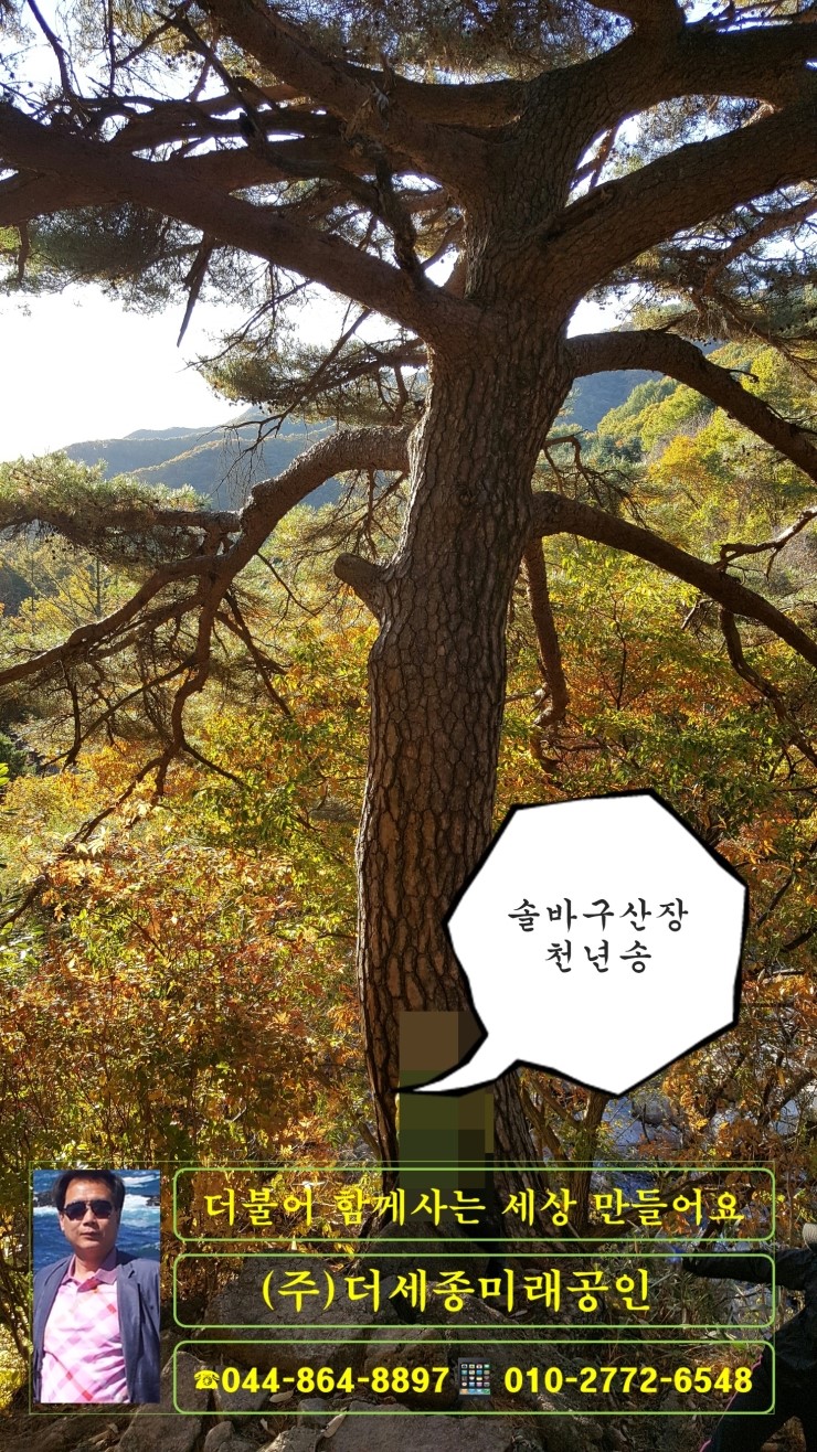 솔바구산장 이미지