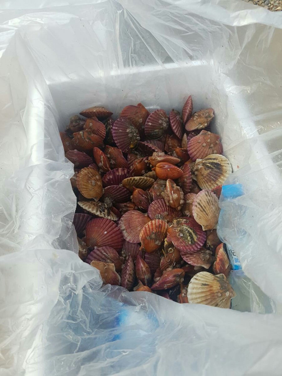 장터추어탕 캠핑장 이미지