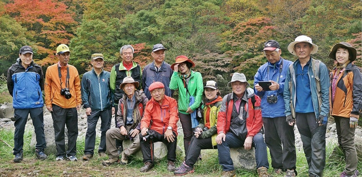 카페1004 이미지