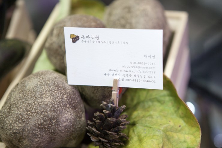 은아인삼 이미지