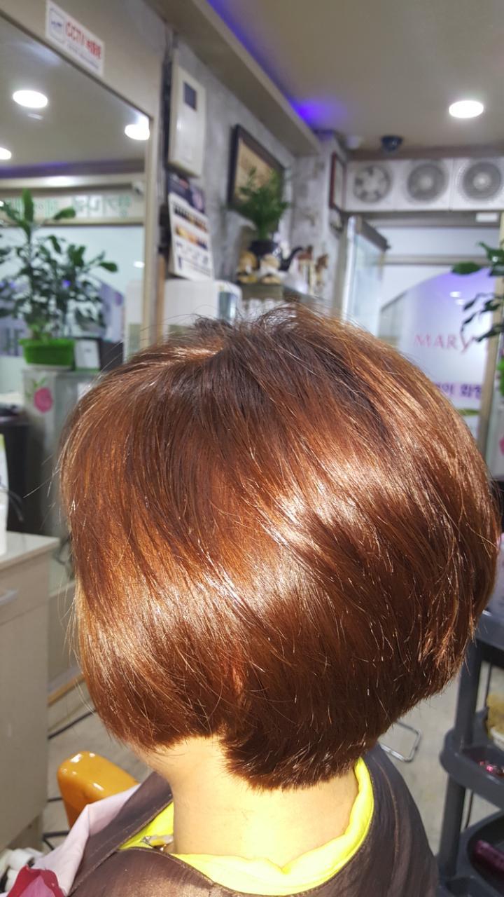 향기나라 이미지