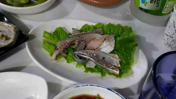 연동포차 이미지