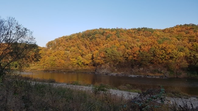 과천사랑방 이미지