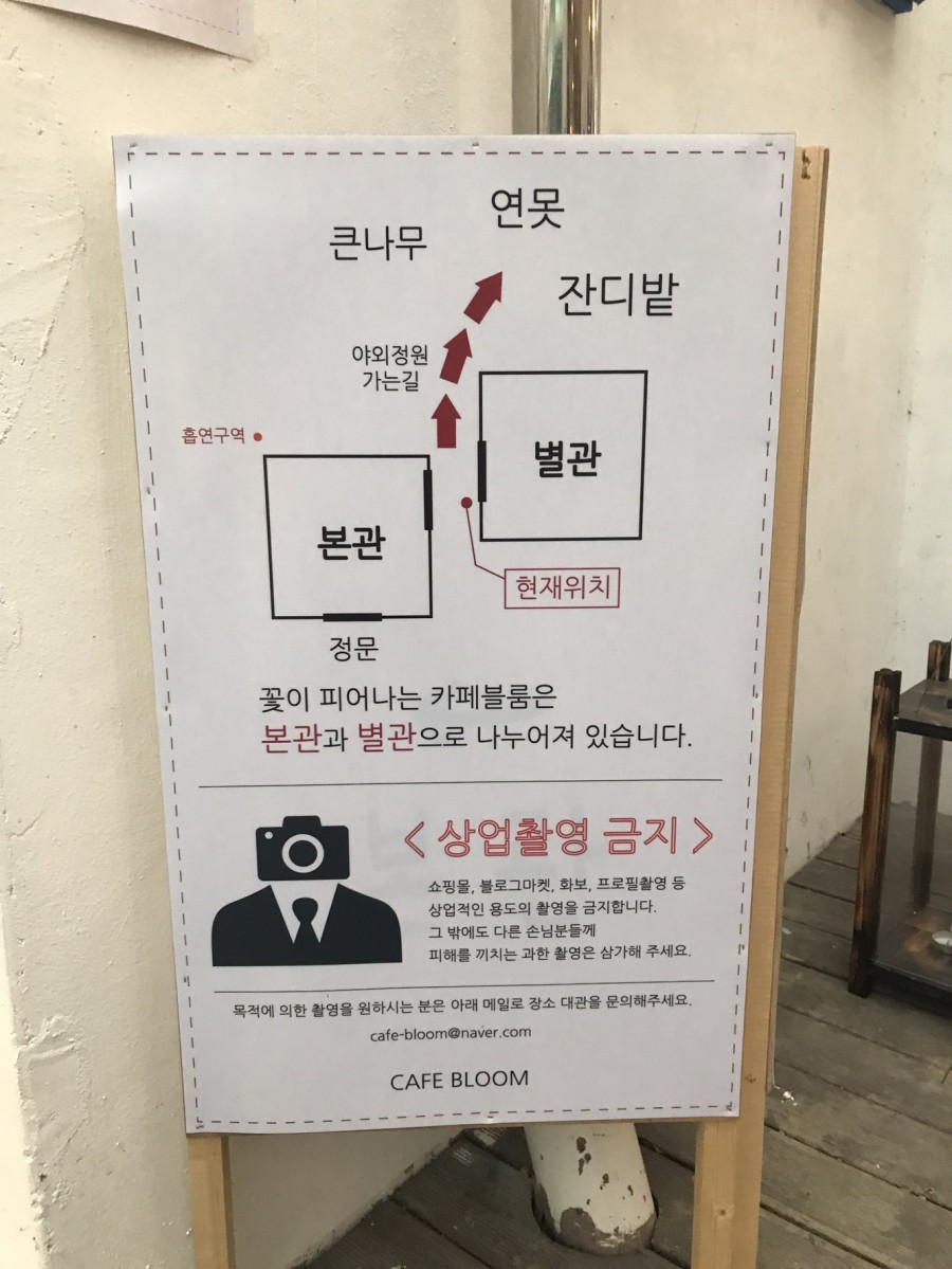 카페블룸 이미지