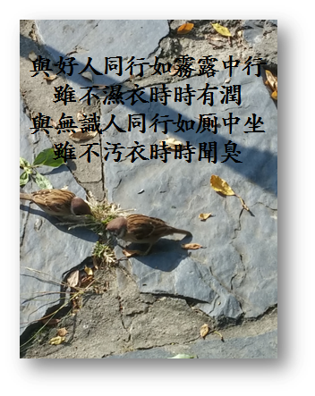 교우동행 이미지