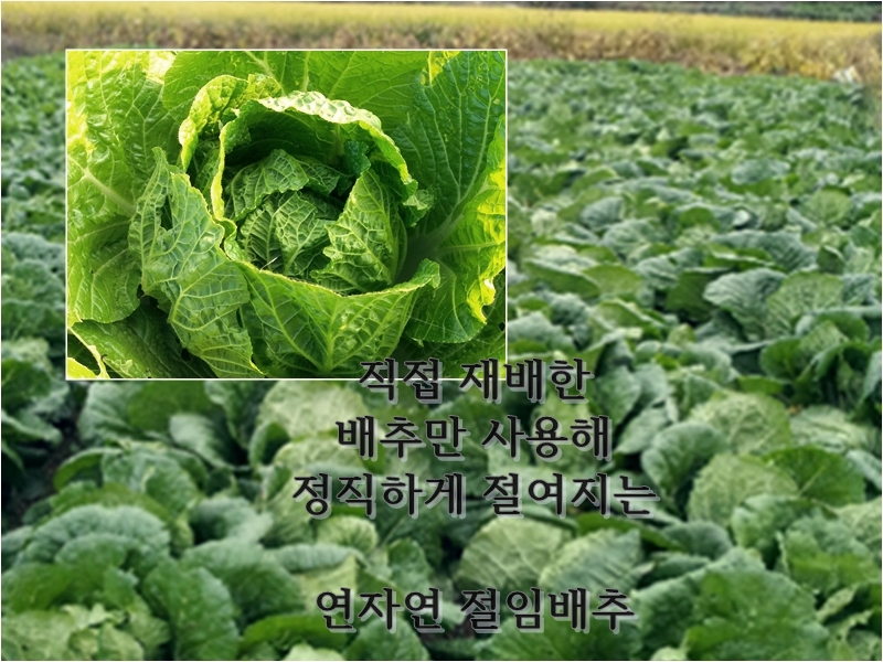 연자연 이미지
