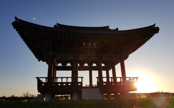 도시숲생태문화연구소 이미지
