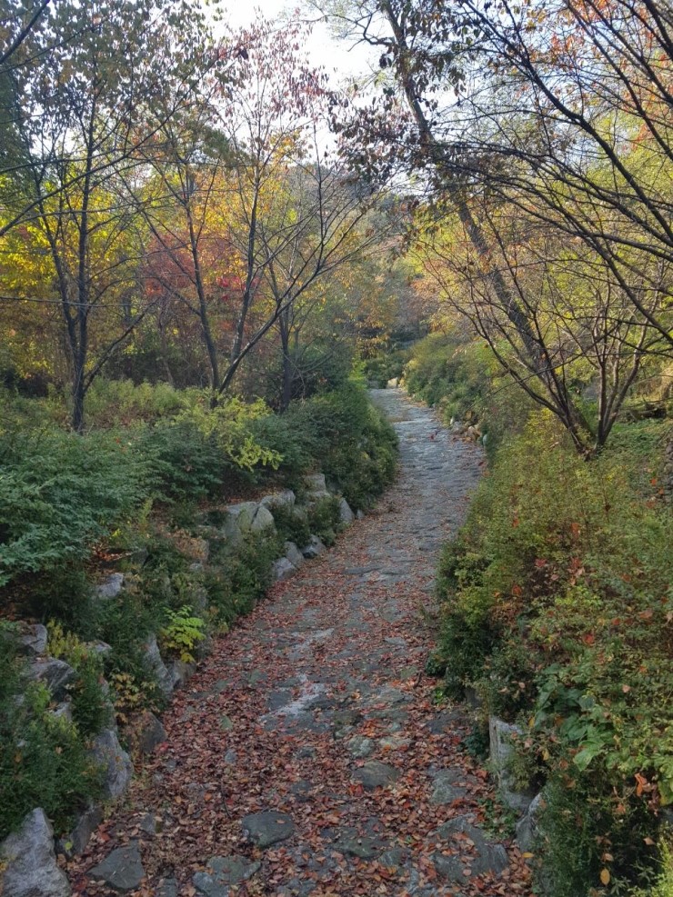 (주)씨아이엠 이미지