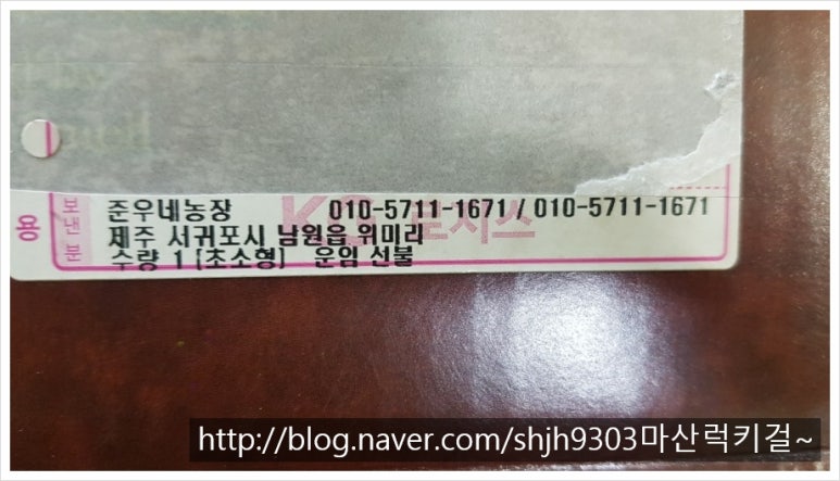 대영호 이미지