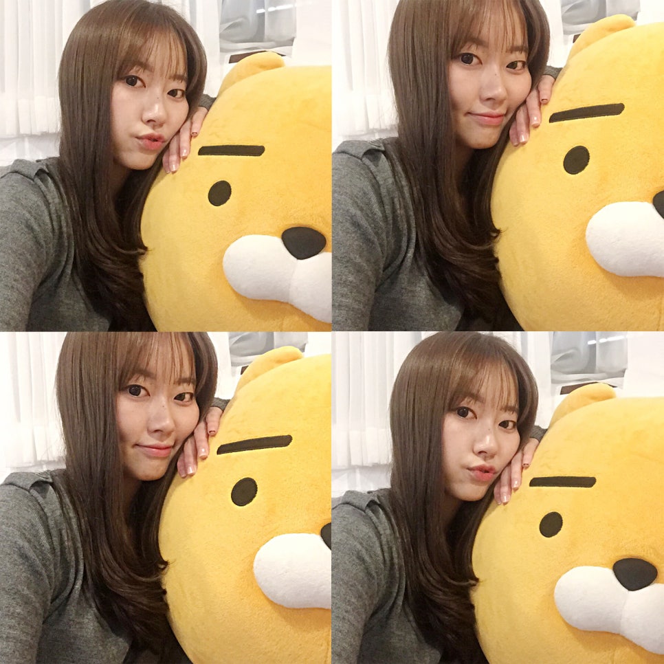 정앤진 이미지