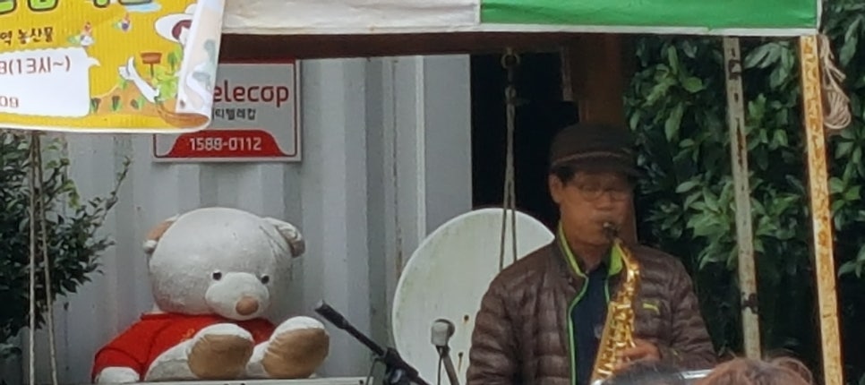뮤직팜(Music farm) 이미지