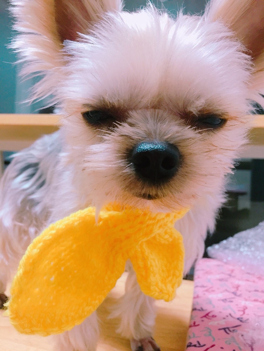 미미밍 이미지