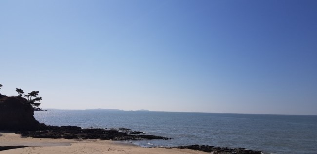 화영칼국수 이미지