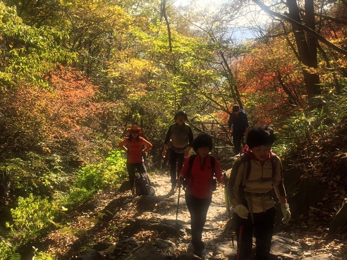 정도종합조경(주) 이미지