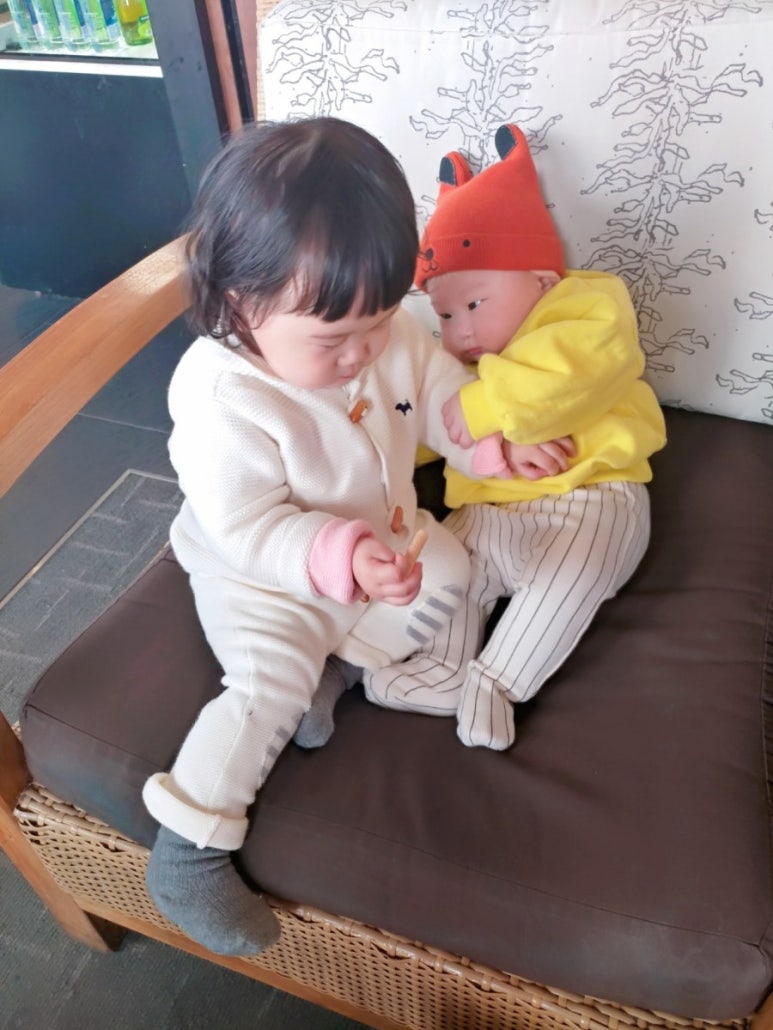 시마스시 이미지