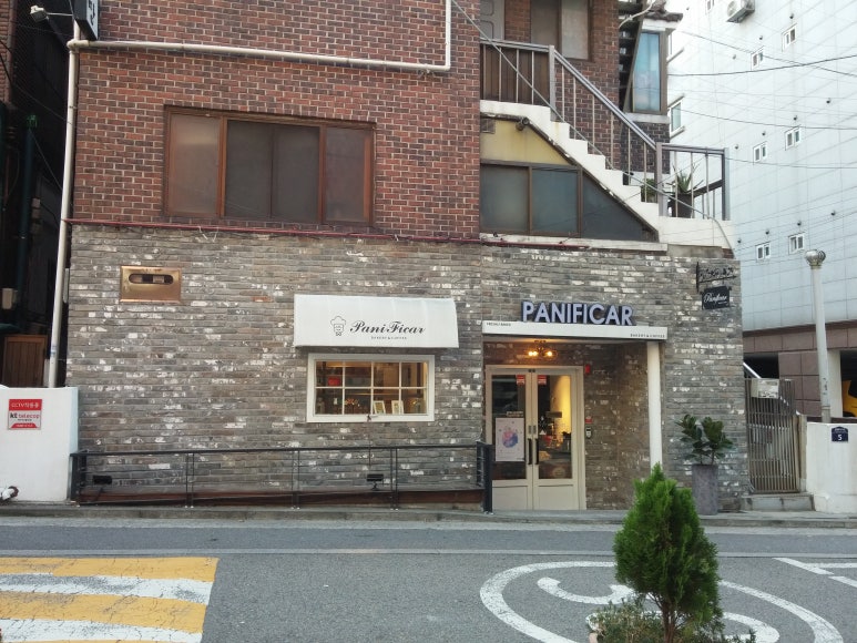 파니피카 이미지