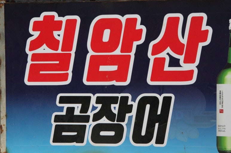 산곰장어 이미지