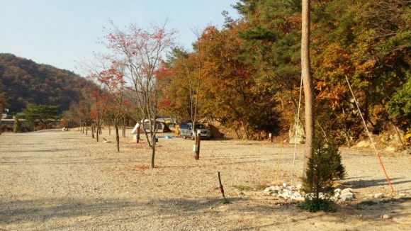 장터추어탕캠핑장 이미지