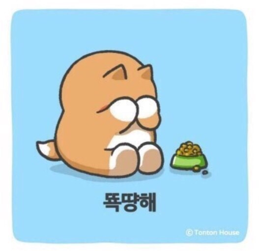카페올레 이미지