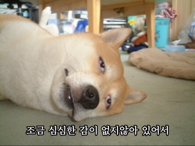 쉼카페 이미지