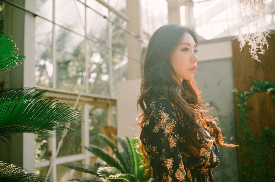 할스바나 이미지