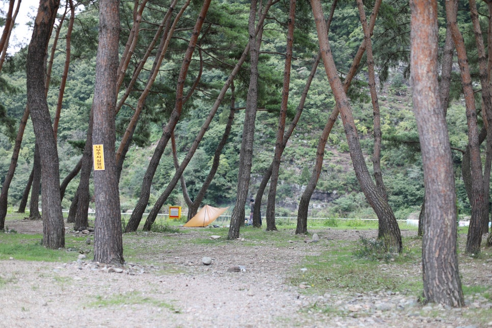 솔밭캠핑장 이미지
