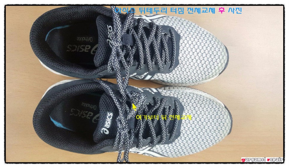 두리수선 이미지