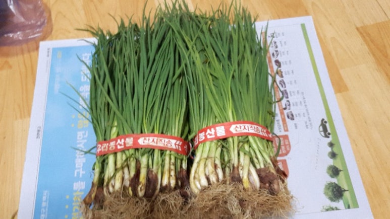 청송꿀사과 오두메농장 이미지