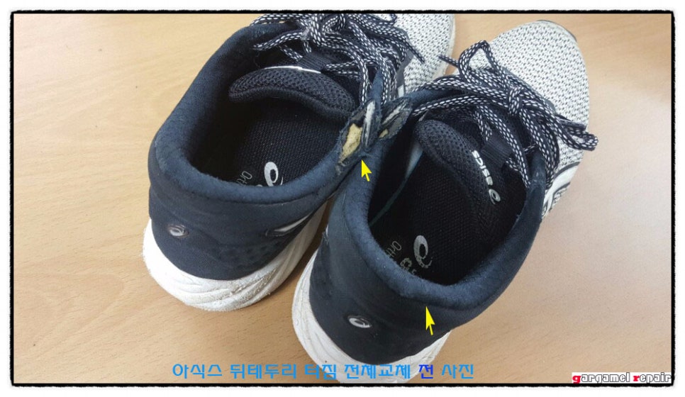 두리수선 이미지