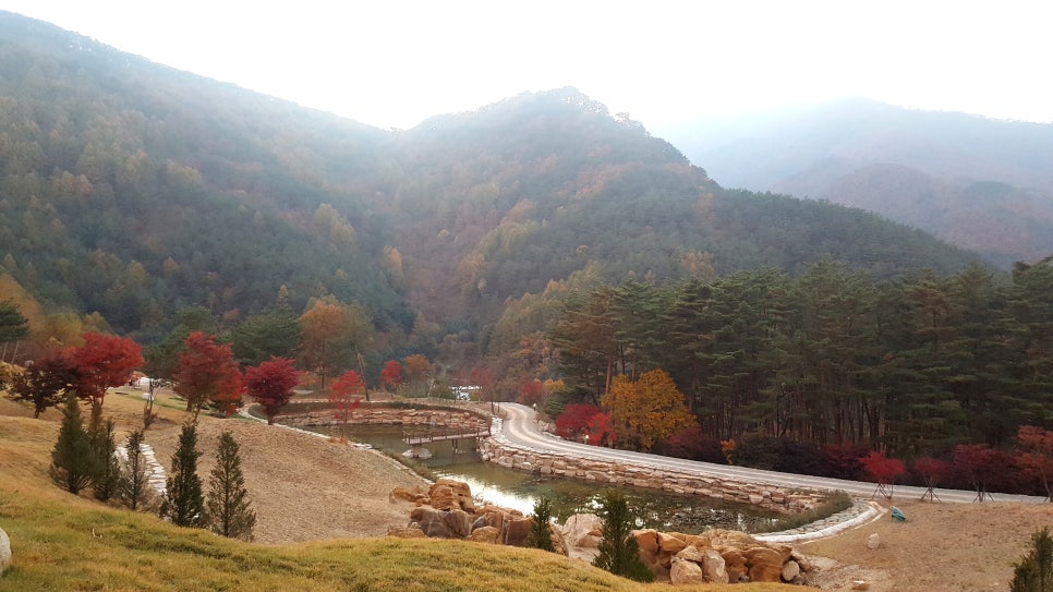 로미지안 치유의 숲 이미지
