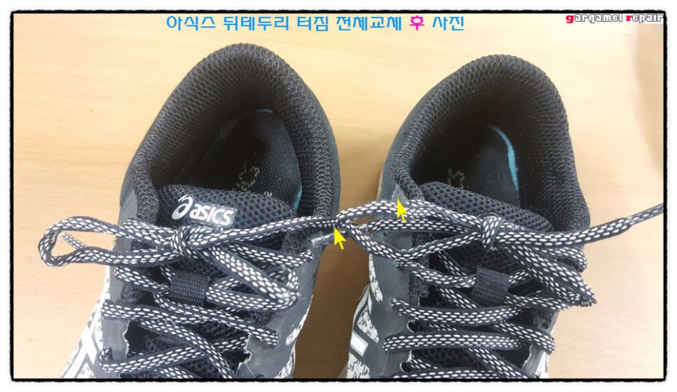 두리수선 이미지