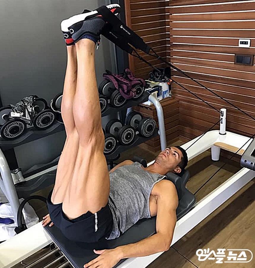 성지스포렉스 이미지